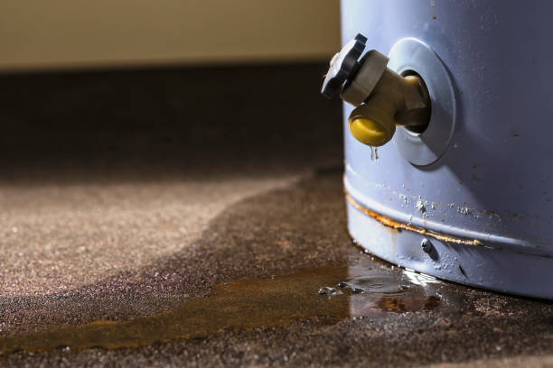 Best 24/7 water damage repair  in Mexia, TX