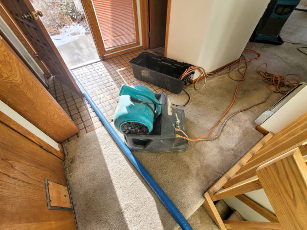 Best Professional water damage repair  in Mexia, TX