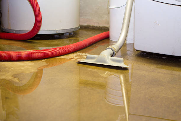 Best Basement water damage restoration  in Mexia, TX