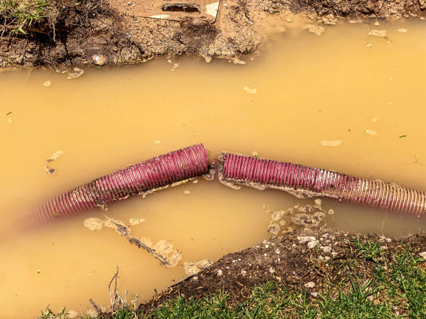 Best Basement water damage restoration  in Mexia, TX